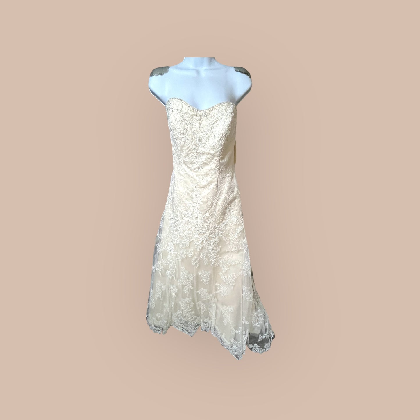 #2015 White/Ivory Casablanca Dress